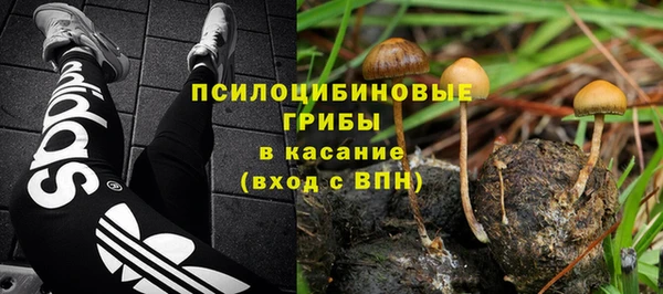 Альфа ПВП Богородск