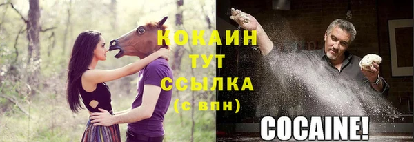Альфа ПВП Богородск